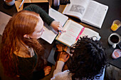 High angle view of young women studying together