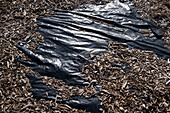 Landscaping woodchips covering black plastic tarpaulin.