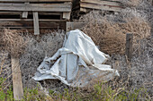 Sagebrush (tumble weed) and torn tarp, old wooden boxes behind, Washigton, USA