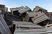 Pile of discarded wooden fruit storage boxes, Washington, USA