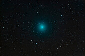 Comet Wirtanen (aka 46P) as it appeared in my sky on November 28, 2018 with it still only 17° above my southern horizon, so partly in haze. The comet was obvious in big 10x70mm binoculars as a large diffuse glow. Wirtanen was moving north and had just entered my western Canadian sky the week I took this.