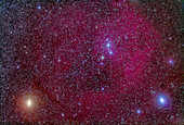 Das Gebiet des Kopfes des Orion mit dem großen Lambda-Orionis-Nebel, der den Stern Meissa oben umgibt, mit Betelgeuse (links) und Bellatrix (rechts) unten, mit dem Fornax Lightrack Tracker und 200mm Objektiv + Canon 5D MkII. Der offene Sternhaufen um Meissa ist Collinder 69.