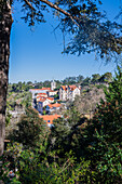 View of Sintra skyline among the vegetation, Portugal