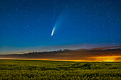 Komet NEOWISE (C/2020 F3) über einem reifenden Rapsfeld in der Nähe des Wohnortes in Süd-Alberta, in der Nacht vom 15. zum 16. Juli 2020. Lichtverschmutzung durch ein nahegelegenes Gaswerk, das von tief hängenden Wolken reflektiert wird, und ein Regenschauer sorgen für das Gelb auf der rechten Seite.