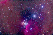 The Belt of Orion with the Horsehead Nebula at botton, the dark nebula set in the bright emission nebula IC 434. The nebula at left of the Zeta Orionis (aka Alnitak) is the Flame Nebula, NGC 2024. The reflection nebula at upper left is the M78 complex with NGC 2071. The other Belt stars are Alnilan (centre) and Mintaka (upper right). The field contains a wealth of other blue reflection and red emission nebulas.