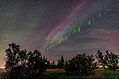 An isolated auroral arc to the southeast on September 2, 2016, shot from home during a fine display with active curtains to the north. This one displays the classic picket fence apperarance, with fingers of green aurora that moved along the band during a time-lapse of the scene.
