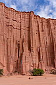 The spires of the Gothic Cathedral in the eroded red sandstone wall in Talampaya National Park, La Rioja Province, Argentina.