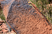 Pre-Hispanic indigenous rock carvings or petroglyphs in Talampaya National Park, La Rioja Province, Argentina.