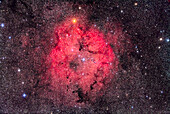 Die große sternbildende Region von IC 1396 im Cepheus, aufgenommen am 5. September 2018 von zu Hause in Süd-Alberta. Das weite Feld umfasst den hellen orangefarbenen Stern Mu Cephei, oder Herschels Granatstern, ganz oben. Der Elefantenrüsselnebel befindet sich in der Mitte. Norden ist ganz oben.