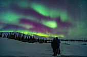 A couple who were participants in the Learning Vacations program at the Churchill Northern Studies Centre watches the aurora display on the final night of the program, March 18, 2020, and the last night of the Churchill aurora tourist season for 2020. Arcturus is the bright star at right in the northeast.