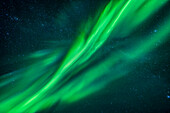 Aurorale Vorhänge im Zenit, mit Grün- und Cyan-Schattierungen, aus dem Display vom 8. September 2018, aufgenommen vom Standort Tibbitt Lake bei Yellowknife, NWT.