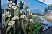 A painted wall mural with cardon cactus in bloom on the street in Villa San Agustin in San Juan Province, Argentina.