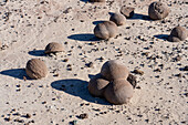 Erodierte Felsen in der Cancha de Bochas oder dem Boccia-Platz im Ischigualasto Provincial Park, Provinz San Juan, Argentinien.