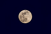The Full Moon at the equinox, on March 20, 2019, reaching full phase only fours hours after the moment of the vernal equinox, and here captured rising very shortly before the moment of the Full Moon. I shot this while the Moon was still rising and in a deep blue sky, and tinted yellow from atmospheric absorption. Even so, this is a blend of short (for the Moon) and long (for the sky) exposures to capture the dynamic range.