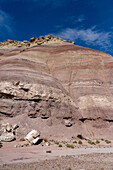 Sandsteinblöcke auf den bunten Bentonit-Ton-Hügeln der Morrison-Formation in der Caineville-Wüste bei Hanksville, Utah.