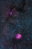 Das Gebiet des Rosettennebels (unten) und des Weihnachtsbaumhaufens (oben) in Monoceros mit dem Fornax Lightrack Tracker und 200mm Objektiv + Canon 5D MkII. Die Nebelflecken oben umfassen den Kegelnebel.