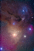 The colourful region around yellow Antares (bottom) in Scorpius and blue Rho Ophiuchi (top) in Ophiuchus. The nebulas are largely reflection nebulas, taking on the colour of the stars embedded in the nebulas. However, the field also contains a lot of emission nebulosity, hydrogen gas glowing red and magenta. Plus there are fingers of brown dark dusty nebulosity. It is one of the most colourful regions of the sky.