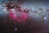 The region of the Milky Way in Puppis and Vela encompassing the vast Gum Nebula, a photographic object only. Sirius and Canis Major are at right; Canopus in Carina is at bottom. The False Cross and the open cluster NGC 2516 are at left.