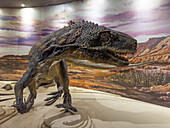 Modell eines Sanjuansaurus gordilloi, eines Dinosauriers aus der Triaszeit im Museum des Ischigualasto Provincial Park in Argentinien.