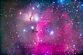 Der Pferdekopfnebel, B33, unter dem Gürtel des Orion und dem Stern Alnitak, zusammen mit dem hellen Flammennebel, NGC 2024, links von Alnitak. Viele andere helle Reflexionsnebel bevölkern das Feld, wie z. B. NGC 2023 gleich links neben dem Pferdekopf selbst. Das Fünffach-Sternsystem Sigma Orionis befindet sich rechts vom Pferdekopf. Der dunkle Pferdekopf hebt sich von dem hellen Streifen des Emissionsnebels IC 434 ab.