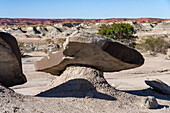 Eine Sandsteinplatte balanciert auf einem erodierten Erdpfeiler im Ischigualasto Provincial Park in der Provinz San Juan, Argentinien.