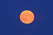 Die Farben wurden nicht übertrieben oder gefälscht - der Himmel war blau, der Mond war orange.