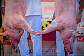 Schlachter beim Schlachten eines Schweins. Firaporc, Schweinemesse, Riudellots de la Selva, Katalonien, Spanien