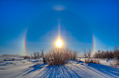 Sonnenhunde und ein Sonnenhalo um die Sonne, 19. Dezember 2013, aufgenommen von zu Hause aus mit der Canon 60Da und dem 10-22mm Objektiv. Der Halo wird durch Eiskristalle in der Luft verursacht, in diesem Fall ganz in der Nähe, denn sie sind als "Sterne" zu sehen, die im Sonnenlicht am Himmel und im Vordergrund funkeln. Dies ist ein HDR-Stapel aus drei Belichtungen in 2/3-Stufen-Intervallen, verarbeitet mit Photomatix Pro.