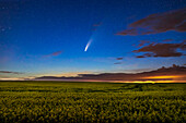 Comet NEOWISE (C/2020 F3) over a ripening canola field near home in southern Alberta, on the night of July 15-16, 2020. Light pollution from a nearby gas plant reflecting off low clouds adds the yellow at right.