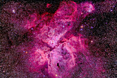 The Carina Nebula (aka Eta Carinae) in the southern sky, shot December 11, 2012 from Timor Cottage, Coonabarabran, NSW, Australia. This is a stack of 5 x 12 minute exposures at ISO 400 with the Canon 5D MkII (filter modified) and Astro-Physics 105mm Traveler apo refractor and 6x7 field flattener.