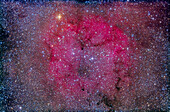 IC 1396, ein großer, schwacher Nebel in Cepheus, der manchmal als Elefantenrüsselnebel bezeichnet wird, obwohl der eigentliche Elefantenrüssel die dunkle Ausstülpung rechts der Mitte ist, die van den Burgh 142 (vdB 142) genannt wird. Ebenfalls im Bild oben (Norden) ist der rote Stern Mu Cephei, auch bekannt als Granatstern.