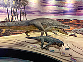 Modelle von Hyperodapedon sanjuanensis und Saurosuchus galilei im Museum im Ischigualasto Provincial Park, San Juan, Argentinien.