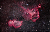 Der Herznebel (alias IC 1805) rechts und der Seelennebel (alias IC 1848) links in Kassiopeia. Der runde Nebel oben rechts ist NGC 896. Der Sternhaufen rechts, eingebettet in den Herznebel, ist NGC 1027. Aufgenommen von zu Hause in Alberta am 21. November 2019.