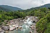 Cotundo, Napo Province, Amazonia, Ecuador, South America