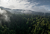 Luftaufnahme des Nebelwaldes, Mashpi, Reserva Mashpi Amagusa, Pichincha, Ecuador, Südamerika