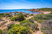 View of rugged coastline from Capo Coda Cavallo, Sardinia, Italy, Mediterranean, Europe