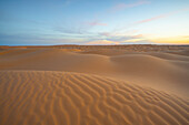 Frühlings-Sonnenuntergang vor den Toren der Wüste Sahara, mit den vom goldenen Licht beleuchteten Sanddünen, Tunesien, Nordafrika, Afrika