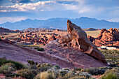 Felsformationen und Wüstenlandschaft bei Sonnenuntergang, Valley of Fire State Park, Nevada, Vereinigte Staaten von Amerika, Nordamerika