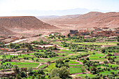 High angle view of Ait Ben Haddou ksar, UNESCO World Heritage Site, surrounded by green fields, Ouarzazate province, Morocco, North Africa, Africa