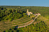 Aerial of Hornberg Castle, Neckarzimmern, Neckartal Valley, Odenwald, Burgenstrasse, Baden-Wurttemberg, Germany, Europe