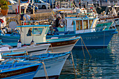 Fischerboote in Marina Grande, Insel Capri, Kampanien, Italien, Europa