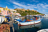 Marina di Corricella, Procida, Flegrean Islands, Campania, Italy, Europe