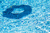 Schatten eines aufblasbaren Rings auf der Wasseroberfläche