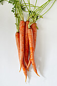 Overhead view of bunch of carrot against white background