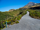 New Zealand, Taranaki, Egmont National Park, Hiking trail