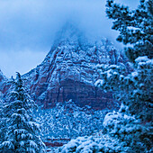 USA, Utah, Springdale, Zion National Park, Blick auf einen schneebedeckten Berg