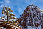 USA, Utah, Springdale, Zion National Park, Scenic view of mountain peak in winter