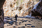 USA, Utah, Springdale, Zion National Park, Senior woman crossing stream while hiking in mountains