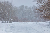 USA, Idaho, Bellevue, Forststraße bei Schneesturm im Winter