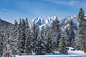 USA, Idaho, Sun Valley, Schneebedeckte Berggipfel und Bäume